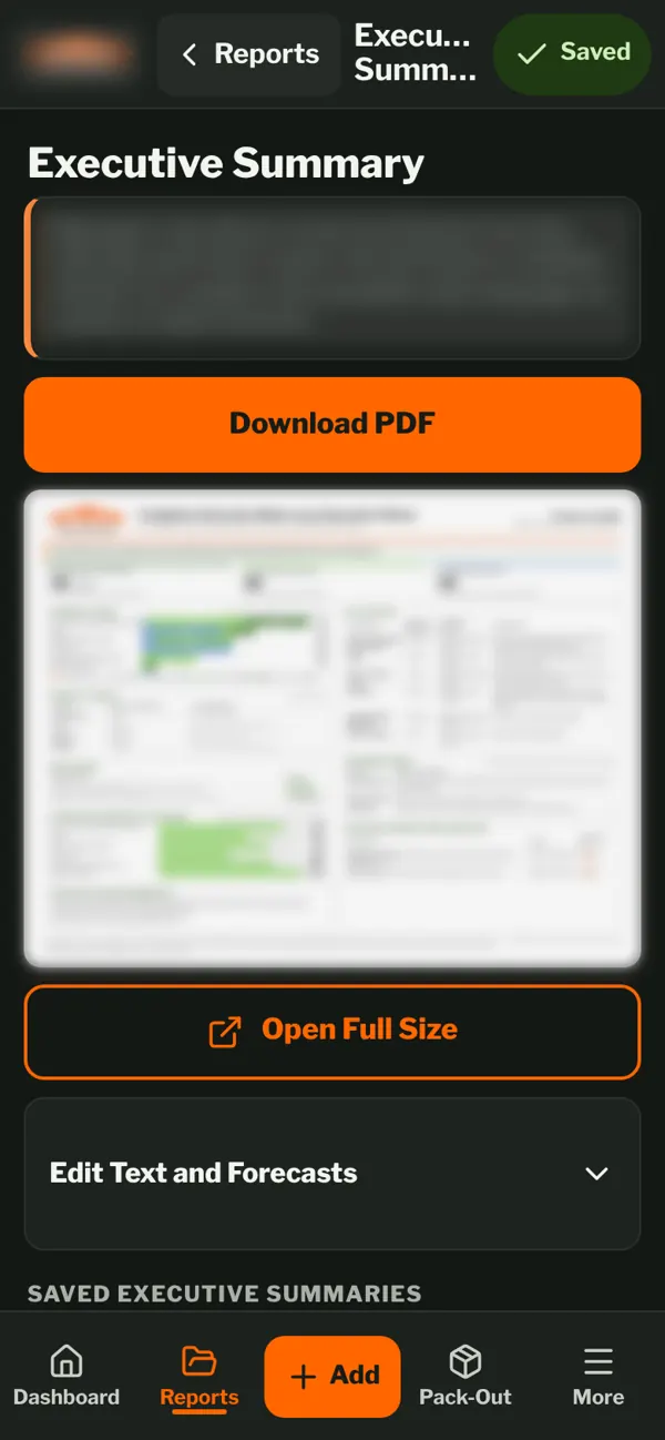 Executive summary client update with a blurred one-page report preview and PDF download